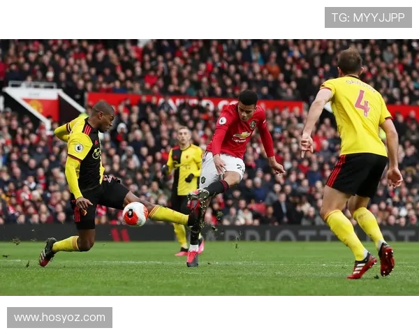 沃特福德足球俱乐部的历史、成就与未来发展探索