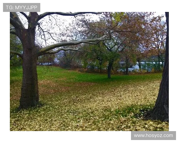 MotoGP拉斯维加斯站再添巨星亮相